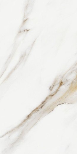 CC CALACATTA ORO RETT. 30X60 G.1