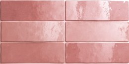 EQUIPE ARTISAN ROSE MALLOW 6,5X20 G1 EQ 24466