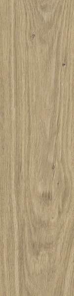 SG DUBLIN BEIGE GRES MAT. 15,5X62 G.1