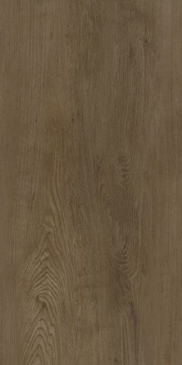 SG SCANDINAVIA BROWN GRES MAT. 30X60 G.1