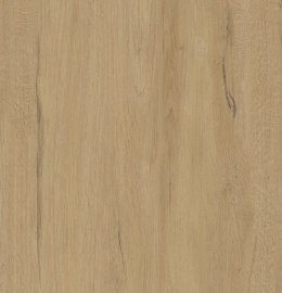 SG SUOMI 2.0 CREAM REKT. 60X60 G.1
