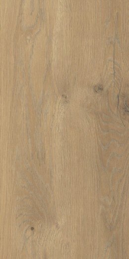 SG TAIGA / SIGURD HONEY GRES MAT. 30X60 G.1