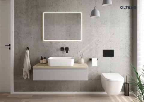 Hadsel Oltens Hadsel miska WC wisząca PureRim biała 42039000