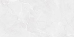 MAXIBOX ALASKA GREY LIGHT 60X120 POLISHED G1.MIB