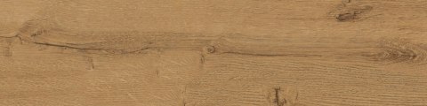SG ESPOO GOLD MAT. 15,5X62 G.1 SG ESPOO GOLD MAT. 15,5X62 G.1