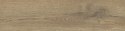 SG PINEA BEIGE GRES MAT. 15,5X62 G.1