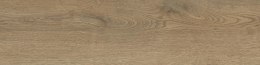 SG PINEA BEIGE GRES MAT. 15,5X62 G.1