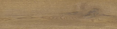 SG PINEA HONEY GRES MAT. 15,5X62 G.1 SG PINEA HONEY GRES MAT. 15,5X62 G.1