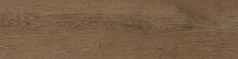 STARGRES Pp PINEA BROWN 15,5x62 g.1 SG PROMOCJA STARGRES Pp PINEA BROWN 15,5x62 g.1 SG PROMOCJA