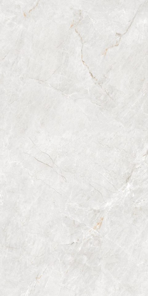 IMP 1 Pp FORESTER BIANCO 60X120 MATT+CARVING G1.IMP1 IMP 1 Pp FORESTER BIANCO 60X120 MATT+CARVING G1.IMP1