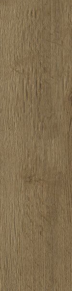 SG SVERIGO HONEY MAT. 15,5X62 G.1 SG SVERIGO HONEY MAT. 15,5X62 G.1