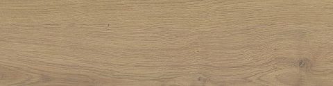 SG YOSEMITE BEIGE MAT. 15,5X62 G.1 SG YOSEMITE BEIGE MAT. 15,5X62 G.1