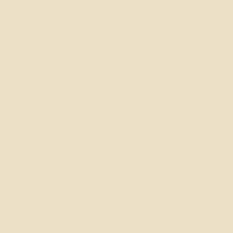 GAMMA COLOURS WANILIOWA ŚCIANA MAT. 19,8X19,8 G1