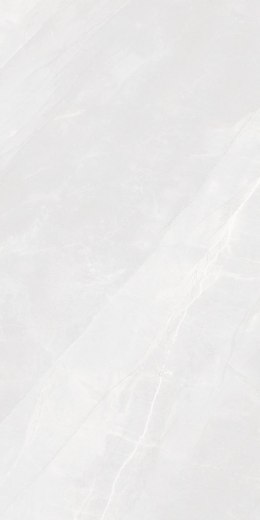 S IPC ROMA ARMANI BIANCO MATT CARVING 60X120 G.1