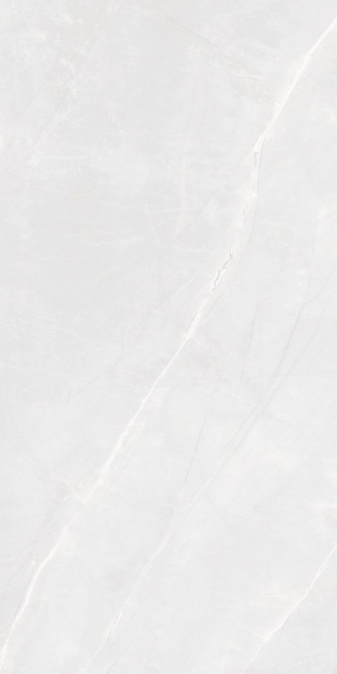 S IPC ROMA ARMANI BIANCO MATT CARVING 60X120 G.1