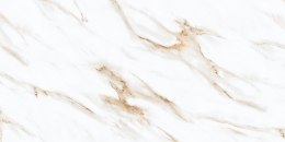 SG VENA BELLA GRES REKT. MAT. 60X120 G.1