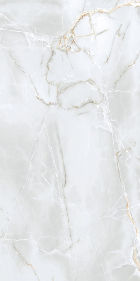 S GOLDEN TILE DELICATE LIGHT GREY MATT 60X120 G.1 S GOLDEN TILE DELICATE LIGHT GREY MATT 60X120 G.1