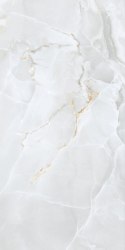 S GOLDEN TILE DELICATE LIGHT GREY MATT 60X120 G.1