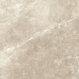 S GOLDEN TILE SPACE STONE BEIGE 60X60 G.1