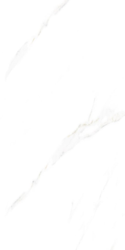 S IPC ALAVES WHITE MATT CARVING 60X120 G.1