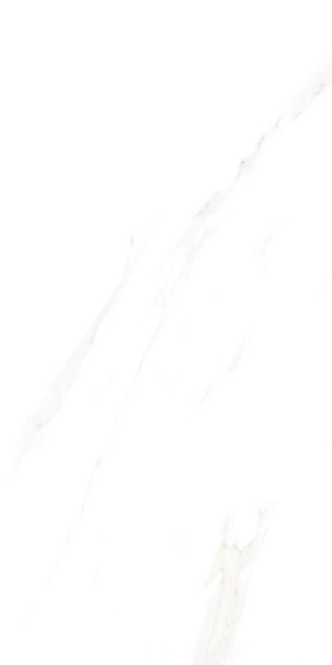 S IPC ALAVES WHITE MATT CARVING 60X120 G.1