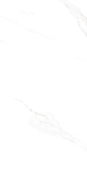 S IPC ALAVES WHITE MATT CARVING 60X120 G.1