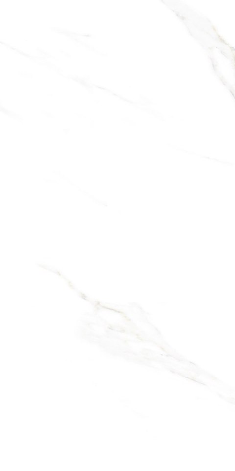 S IPC ALAVES WHITE MATT CARVING 60X120 G.1