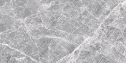 Wello Grey Dark Połysk GL.321D.WL.PS 60x30 - Ścienna - Połysk