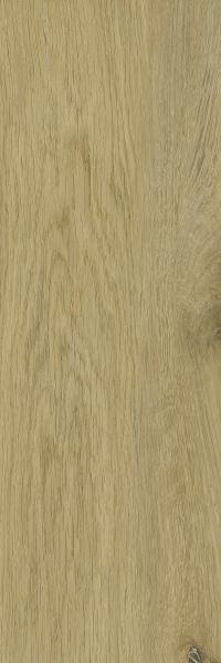 DECORWOOD GOLD GRES SZKL. STRUKTURA MAT. 20X60 G1
