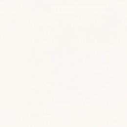 GAMMA BIANCO SCIANA MAT 9,8X9,8 G1 - NA STANIE