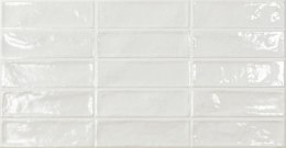 ECOCERAMIC EC. POOL WHITE 31,6X60 G1 EC