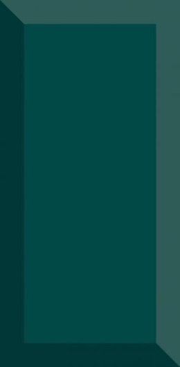 TAMOE VERDE ŚCIANA KAFEL 9,8X19,8 G1
