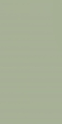 FEELINGS GREEN ŚCIANA REKT. 29,8X59,8 G1