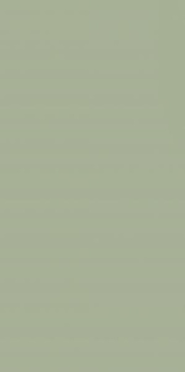 FEELINGS GREEN ŚCIANA REKT. 29,8X59,8 G1