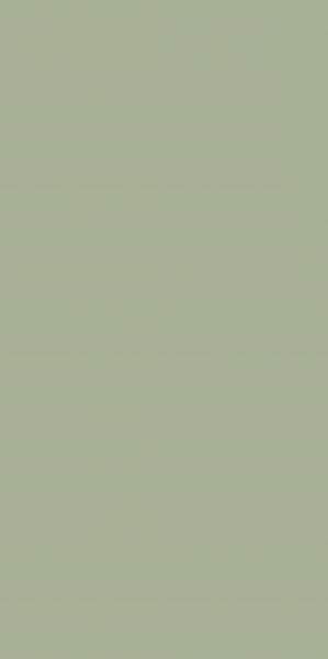 FEELINGS GREEN ŚCIANA REKT. 29,8X59,8 G1 FEELINGS GREEN ŚCIANA REKT. 29,8X59,8 G1