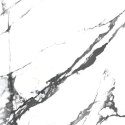 S GEOTILES OIKOS BLACK POLISHED REKT. 60X60 G.1