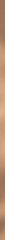 UNIWERSALNA LISTWA METALOWA GOLD PROFIL 1X89,8 G1 UNIWERSALNA LISTWA METALOWA GOLD PROFIL 1X89,8 G1