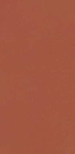NEVE CREATIVE TERRACOTTA ŚCIANA MAT 9,8X19,8 G1