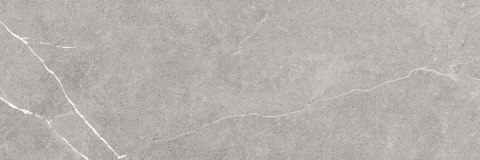 S AZTECA ANETO GREY MATT 40X120 G.1 S AZTECA ANETO GREY MATT 40X120 G.1