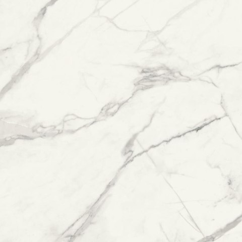 T PIETRASANTA POL 79,8X79,8 G.1 T PIETRASANTA POL 79,8X79,8 G.1