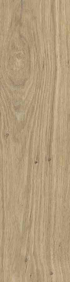 SG DUBLIN BEIGE 15,5X62 G.1 SG DUBLIN BEIGE 15,5X62 G.1
