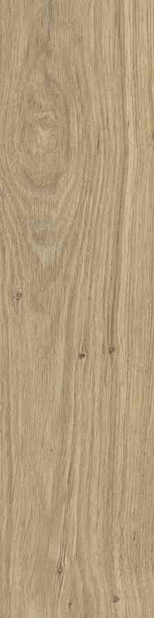 SG DUBLIN BEIGE 15,5X62 G.1 SG DUBLIN BEIGE 15,5X62 G.1