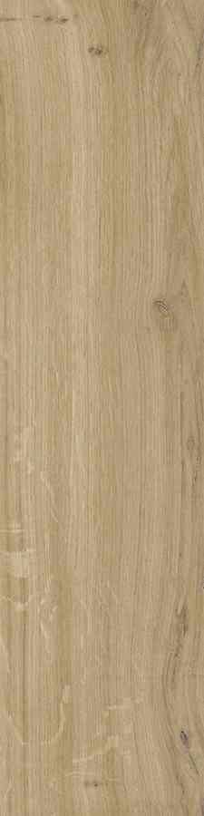 SG DUBLIN BEIGE 15,5X62 G.1 SG DUBLIN BEIGE 15,5X62 G.1