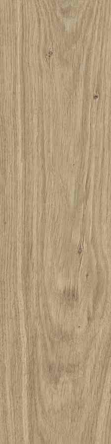 SG DUBLIN BEIGE 15,5X62 G.1 SG DUBLIN BEIGE 15,5X62 G.1