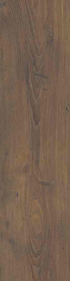 SG OSLO BROWN 15,5X62 G.1 SG OSLO BROWN 15,5X62 G.1