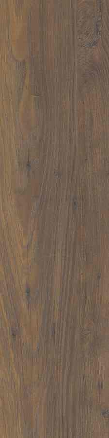 SG OSLO BROWN 15,5X62 G.1 SG OSLO BROWN 15,5X62 G.1