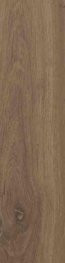 SG DUBLIN BROWN 15,5X62 G.1 SG DUBLIN BROWN 15,5X62 G.1
