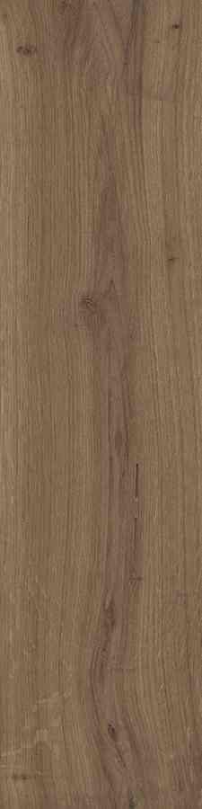 SG DUBLIN BROWN 15,5X62 G.1 SG DUBLIN BROWN 15,5X62 G.1