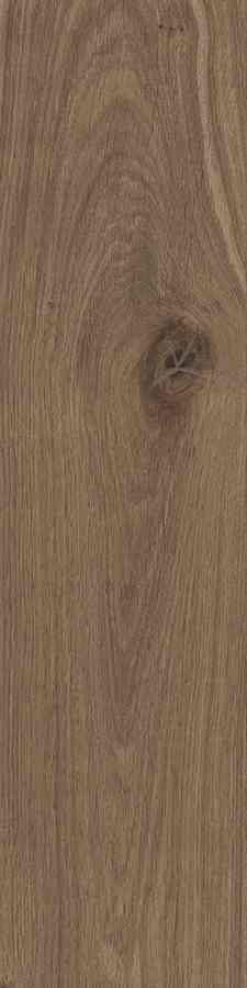 SG DUBLIN BROWN 15,5X62 G.1 SG DUBLIN BROWN 15,5X62 G.1