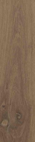 SG DUBLIN BROWN 15,5X62 G.1